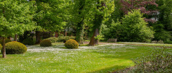 Park