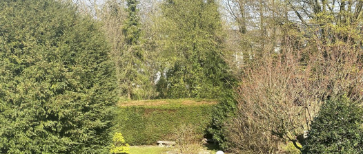 Charmante Wohnung mit Balkon in Werden sucht neue Mieter