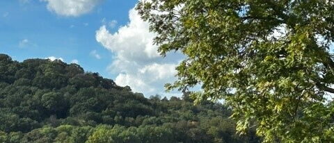 Oberhalb des Baldenysees-
traumhafter Blick über das RuhrtalOberhalb des Baldenysees-
traumhafter Blick über das Ruhrtal