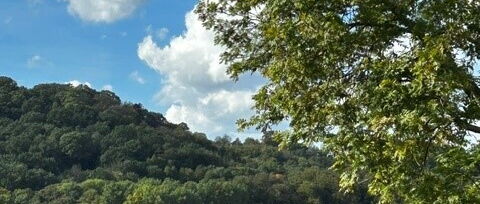 Oberhalb des Baldenysees-
traumhafter Blick über das Ruhrtal